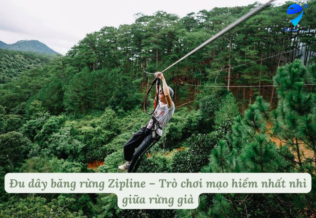Đu dây băng rừng Zipline – Trò chơi mạo hiểm nhất nhì giữa rừng già