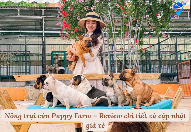 Nông trại cún Puppy Farm – Review chi tiết và cập nhật giá vé