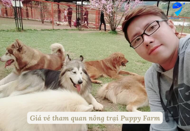 Giá vé tham quan nông trại Puppy Farm