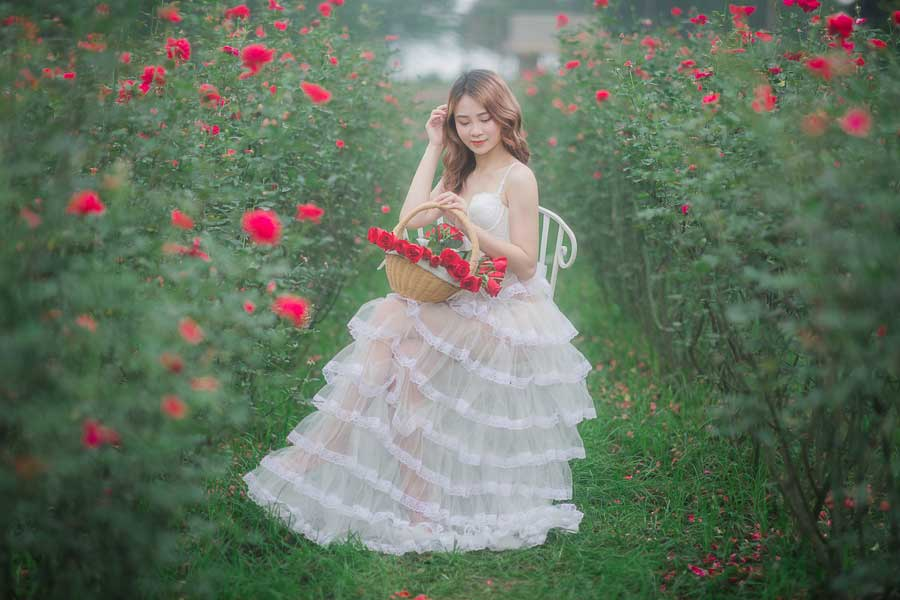 Mọi cô gái đều biến thành nàng thơ giữ vườn hoa hồng thơ mộng (Nguồn: Internet)