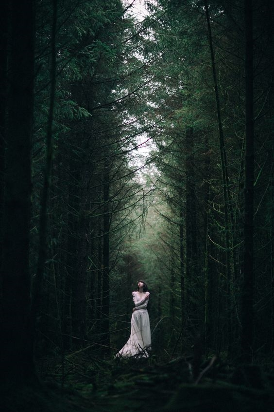 Tạo dáng chụp hình ma mị, huyền bí giữa rừng thông (Nguồn: Internet)