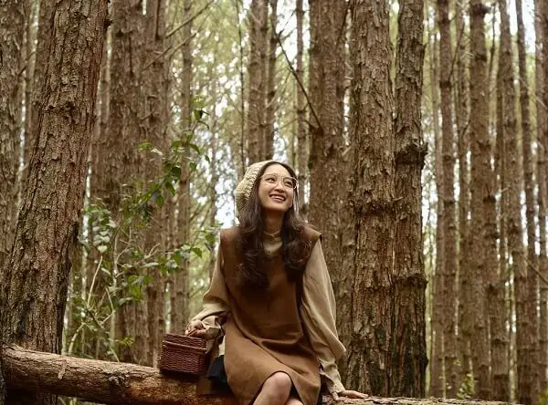 Tạo dáng ngồi trên cây gỗ cũ trong rừng thông (Nguồn: Internet)