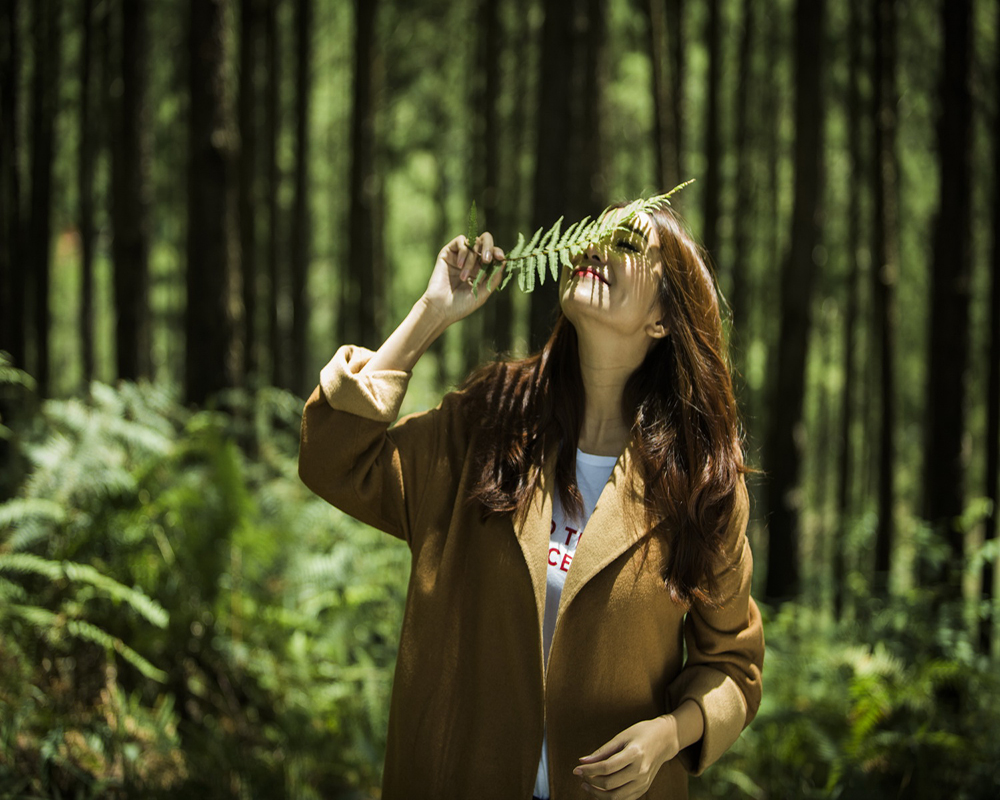 Mượn cỏ cây làm phụ kiện tạo dáng chụp ảnh trong rừng thông (Nguồn: Internet)
