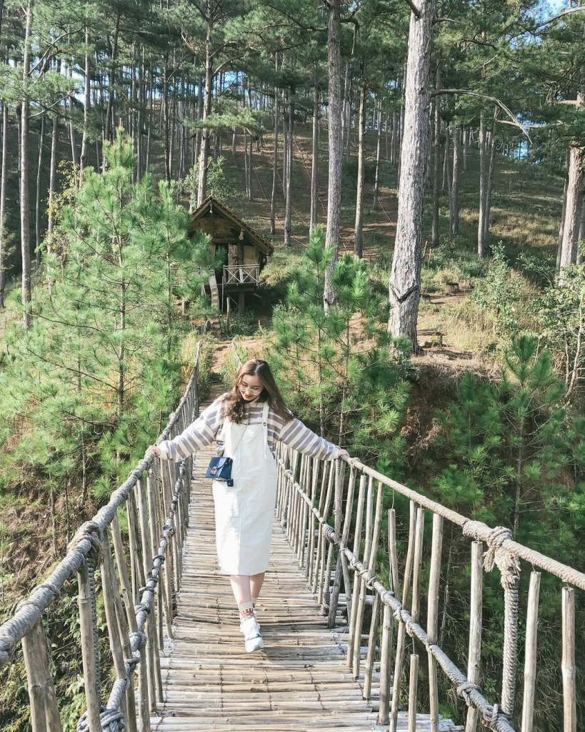 Tạo dáng chụp ảnh trên cầu treo giữa rừng thông tại Làng Cù Lần (Nguồn: Internet)