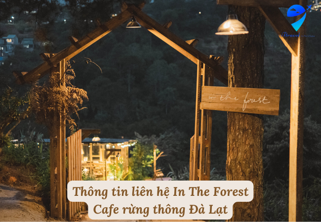 Thông tin liên hệ In The Forest - Cafe rừng thông Đà Lạt