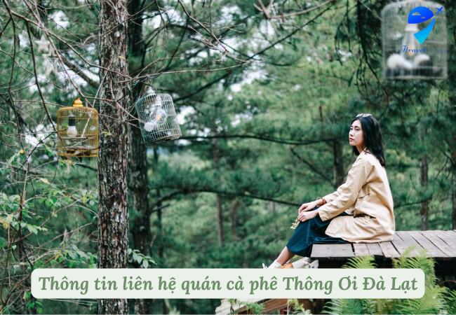 Thông tin liên hệ quán cà phê Thông Ơi Đà Lạt
