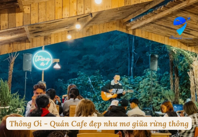 Thông Ơi - Quán Cafe đẹp như mơ giữa rừng thông