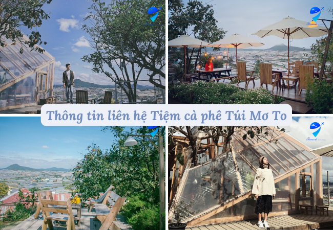 Thông tin liên hệ Tiệm cà phê Túi Mơ To
