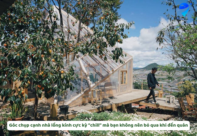 Góc chụp cạnh nhà lồng kính cực kỳ “chill” mà bạn không nên bỏ qua khi đến quán