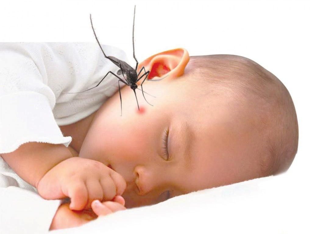7 cách đuổi muỗi an toàn cho trẻ sơ sinh đơn giản và hiệu quả