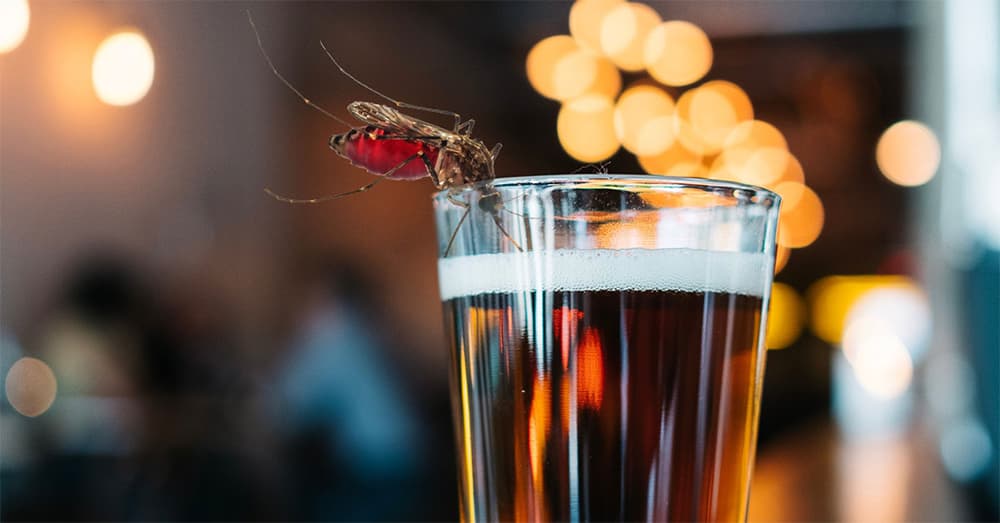 Cách diệt muỗi bằng bia đơn giản, hiệu quả tại nhà