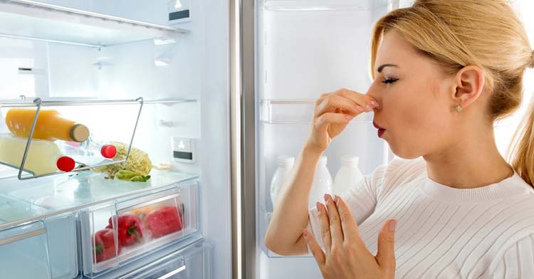Các Cách Khử Mùi Tủ Lạnh Bị Hôi Thối Hiệu Quả Và Nhanh Nhất