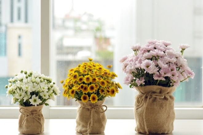 Về nhà mới nên cắm hoa gì? Đọc ngay để rước tài lộc khi về nhà mới