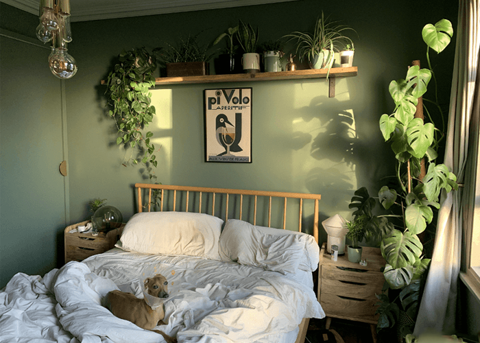 Mẫu 8: Mẫu phòng ngủ ấn tượng với sự kết hợp của màu xanh cây cảnh cùng với màu nâu của đồ nội thất đem lại cảm giác gần gũi với thiên nhiên.  