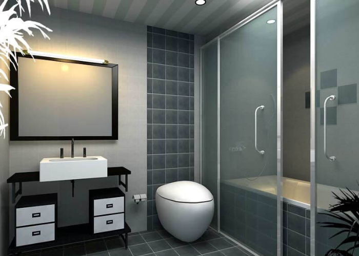 Phòng tắm 4m2 với bồn tắm được tách biệt bằng vách ngăn kính