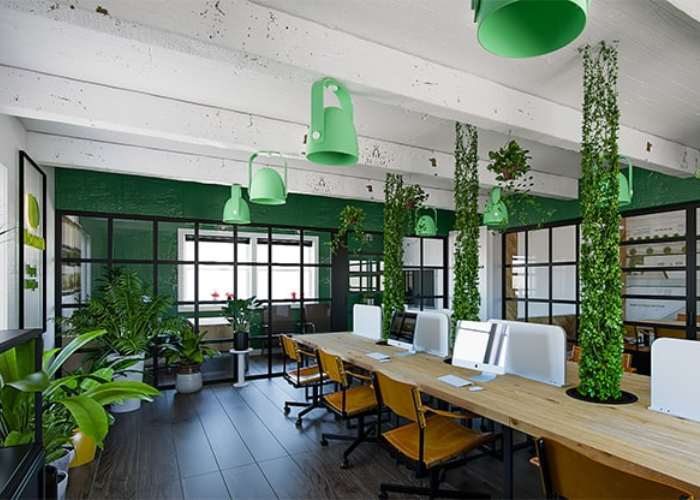 Làm mới không gian văn phòng bằng hệ thống cây xanh phong phú, đa dạng  