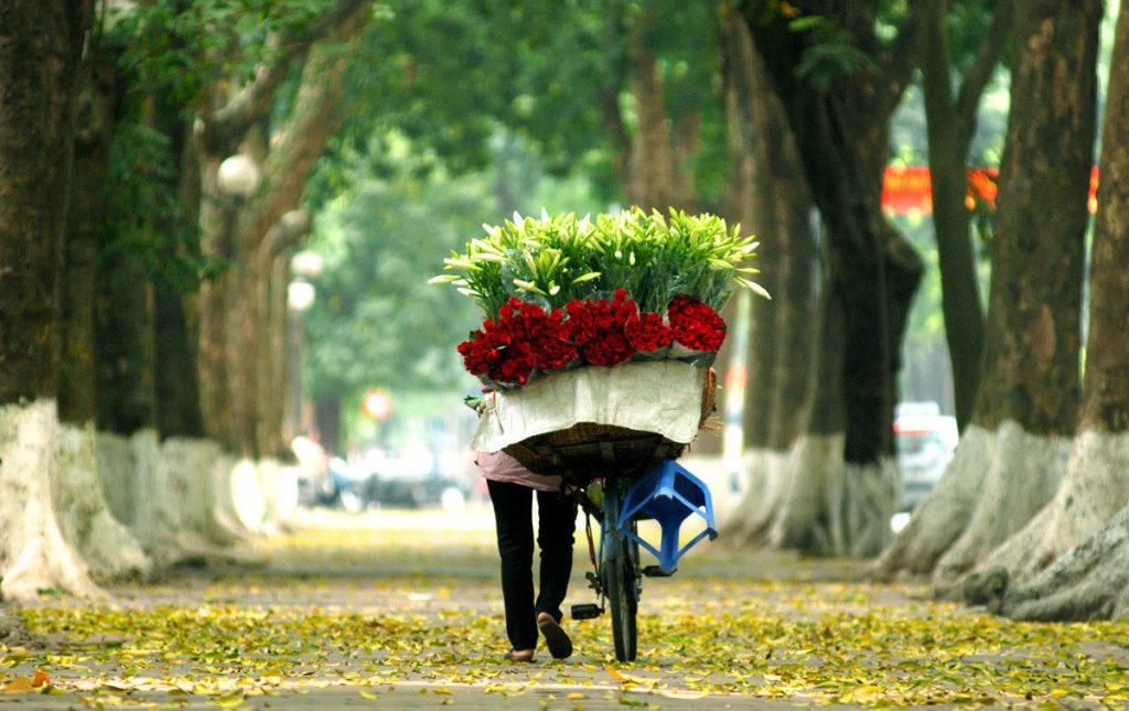 Summer in Hanoi