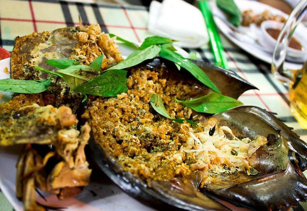 The Horseshoe Crab in Ha Long Bay