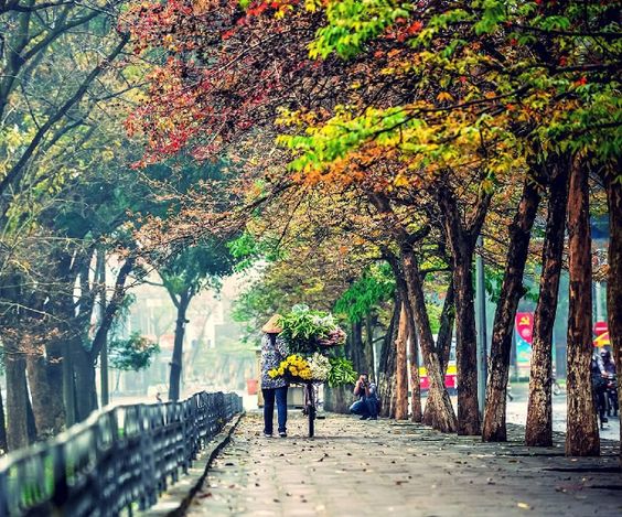 Fall in Hanoi - a good time to visit Hanoi