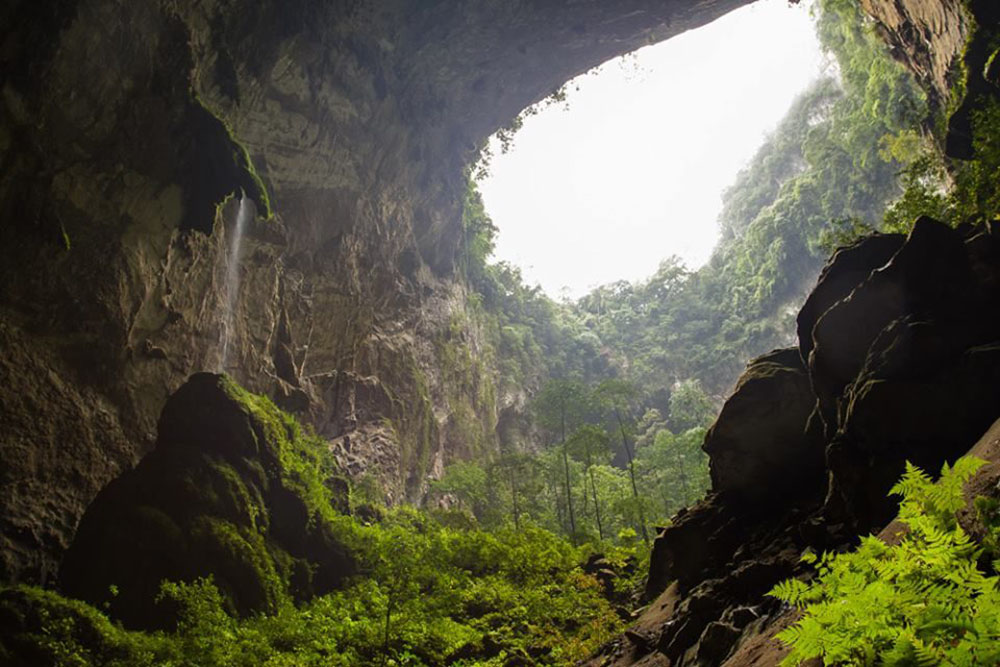 beautiful natural environment in son doong cave