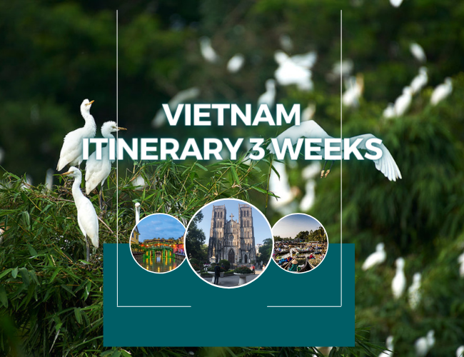 Vietnam Itinerary 3 Weeks – Places and Dishes Suggestions