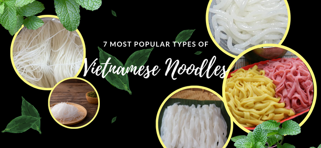 7 Most Popular Types of Vietnamese Noodles