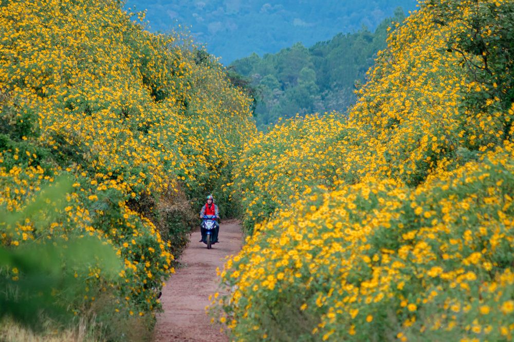 trekking and visiting beautiful beaches