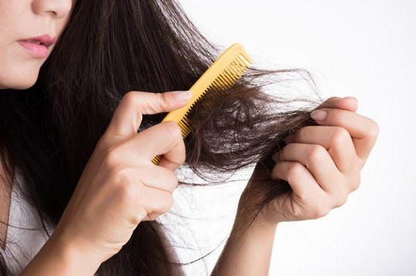 Cách chữa rụng tóc và kích thích mọc tóc an toàn, hiệu quả ngay tại nhà
